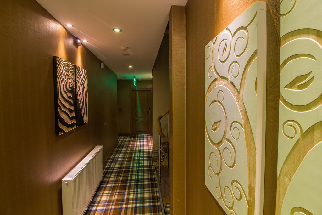 Ayderoom Hotel Dış mekan fotoğraf